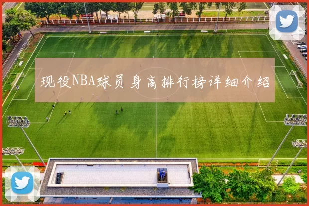现役NBA球员身高排行榜详细介绍