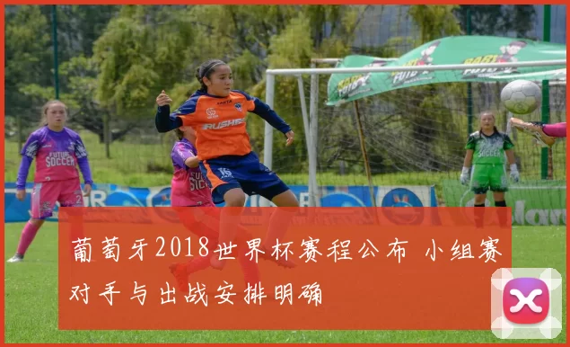 葡萄牙2018世界杯赛程公布 小组赛对手与出战安排明确