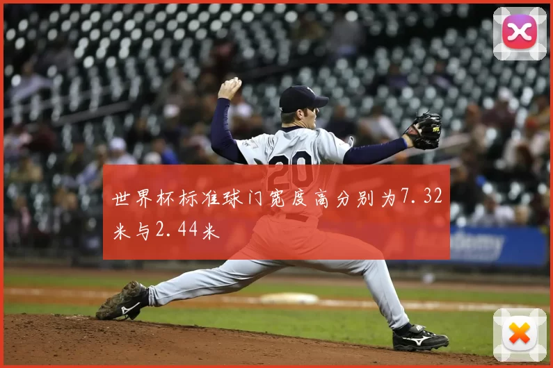 世界杯标准球门宽度高分别为7.32米与2.44米