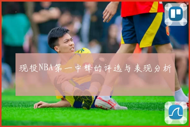现役NBA第一中锋的评选与表现分析