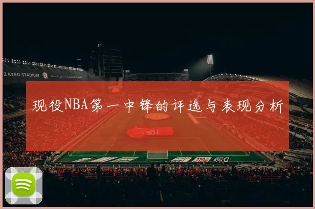 现役NBA第一中锋的评选与表现分析