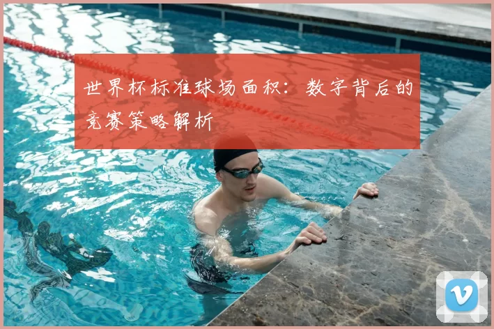 世界杯标准球场面积：数字背后的竞赛策略解析