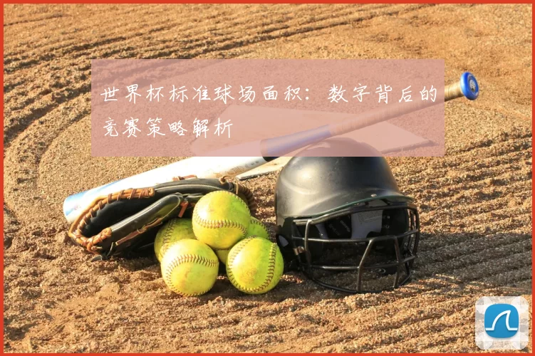 世界杯标准球场面积:数字背后的竞赛策略解析