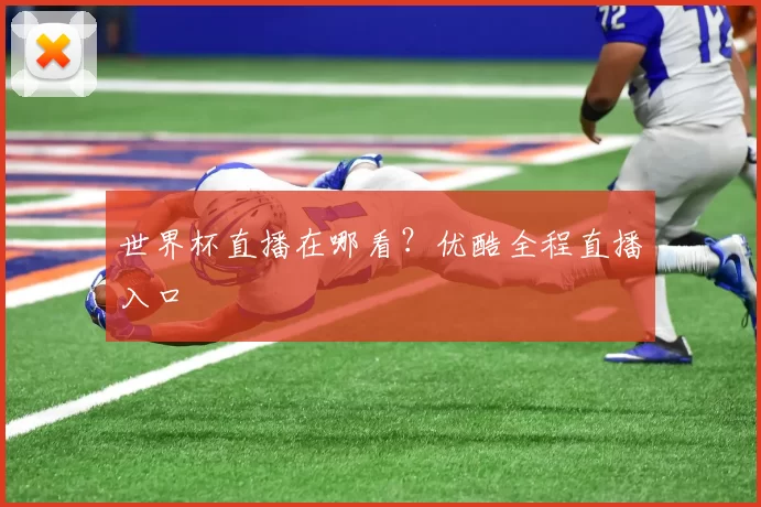 世界杯直播在哪看？优酷全程直播入口