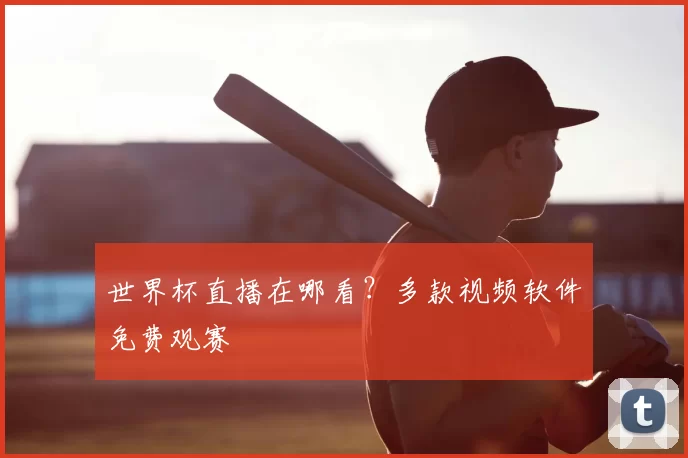 世界杯直播在哪看？多款视频软件免费观赛
