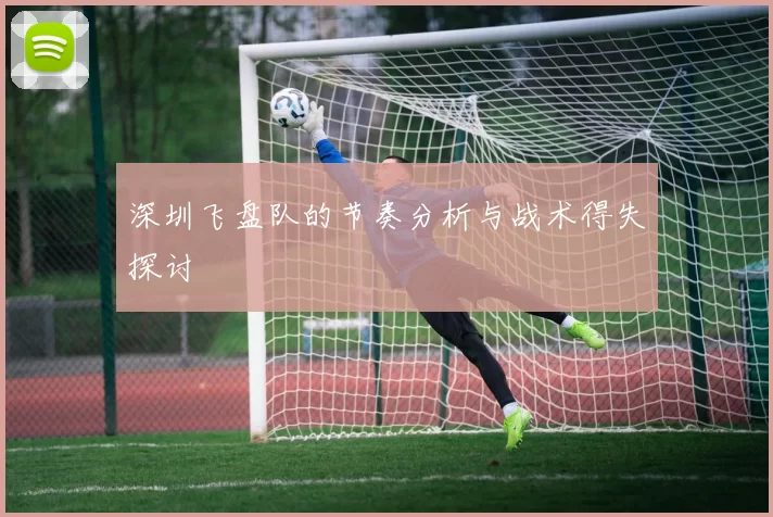 深圳飞盘队的节奏分析与战术得失探讨