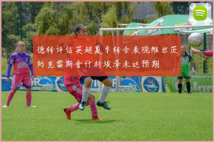 德转评估英超夏季转会表现维尔茨约克雷斯舍什科埃泽未达预期