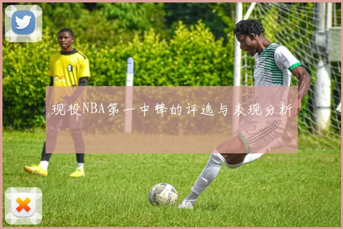 现役NBA第一中锋的评选与表现分析