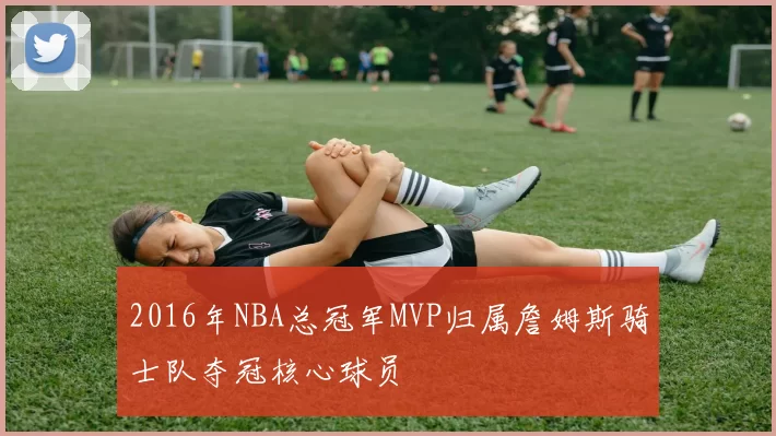 2016年NBA总冠军MVP归属詹姆斯骑士队夺冠核心球员