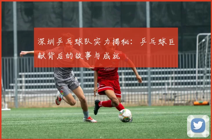 深圳乒乓球队实力揭秘:乒乓球巨献背后的故事与成就