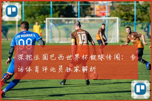 深挖法国巴西世界杯假球传闻:专访体育评论员独家解析