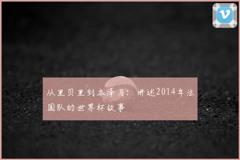 从里贝里到本泽马:讲述2014年法国队的世界杯故事