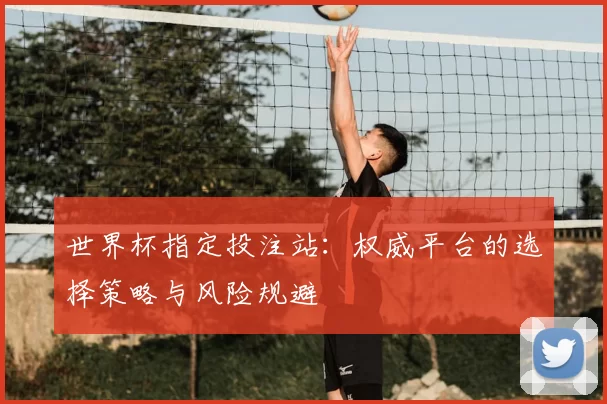 世界杯指定投注站:权威平台的选择策略与风险规避