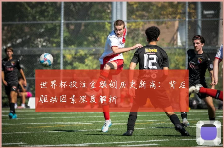 世界杯投注金额创历史新高:背后驱动因素深度解析