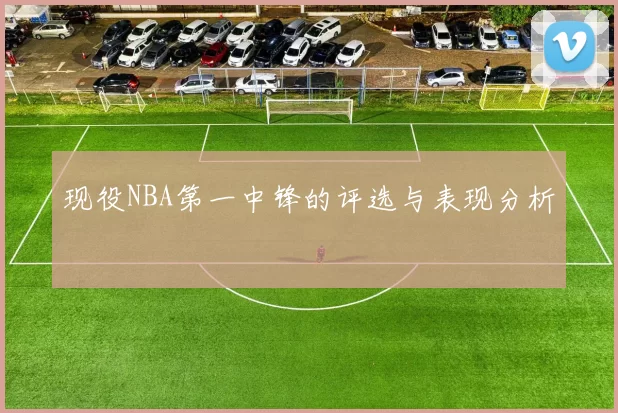 现役NBA第一中锋的评选与表现分析
