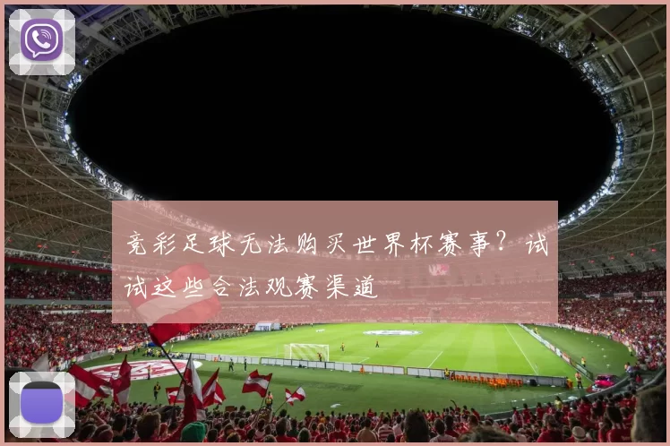 竞彩足球无法购买世界杯赛事?试试这些合法观赛渠道