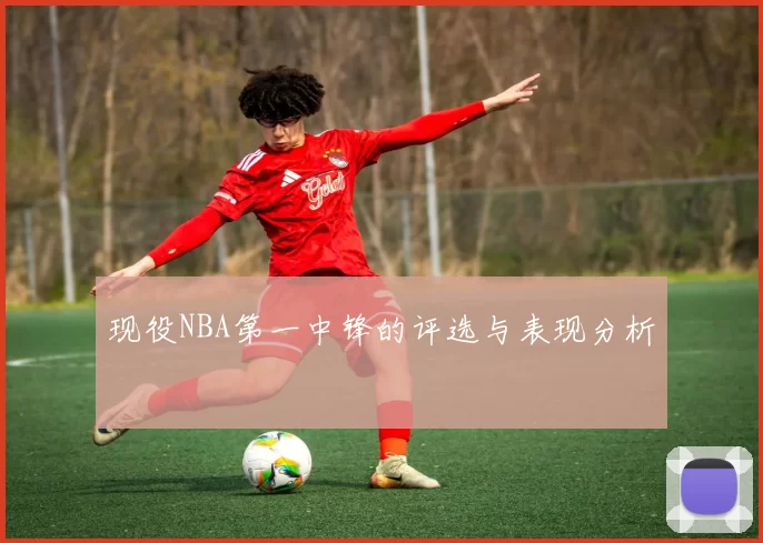 现役NBA第一中锋的评选与表现分析
