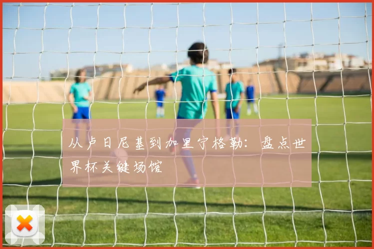 从卢日尼基到加里宁格勒:盘点世界杯关键场馆