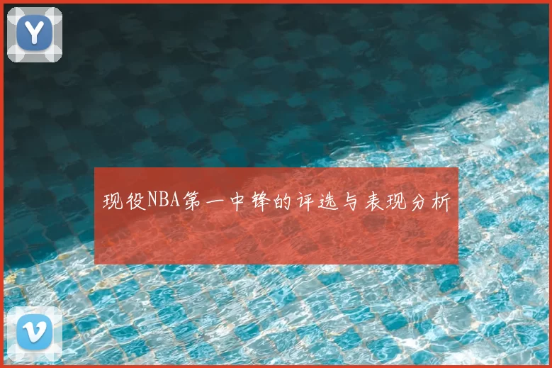 现役NBA第一中锋的评选与表现分析