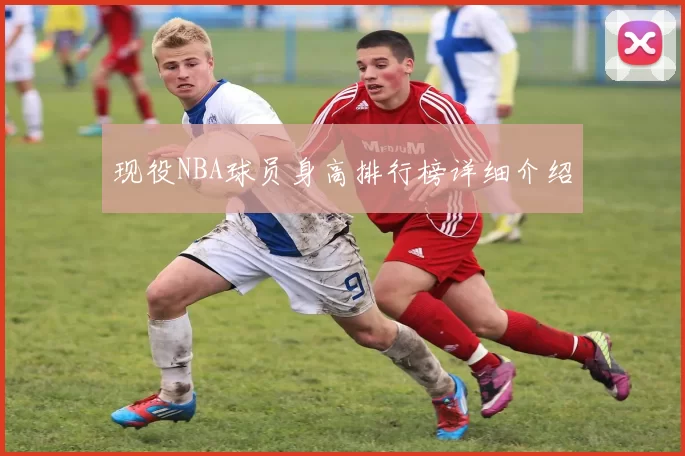 现役NBA球员身高排行榜详细介绍