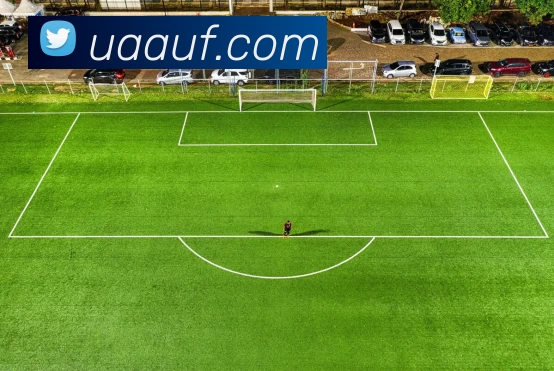 华体会手机网页版平台生态图