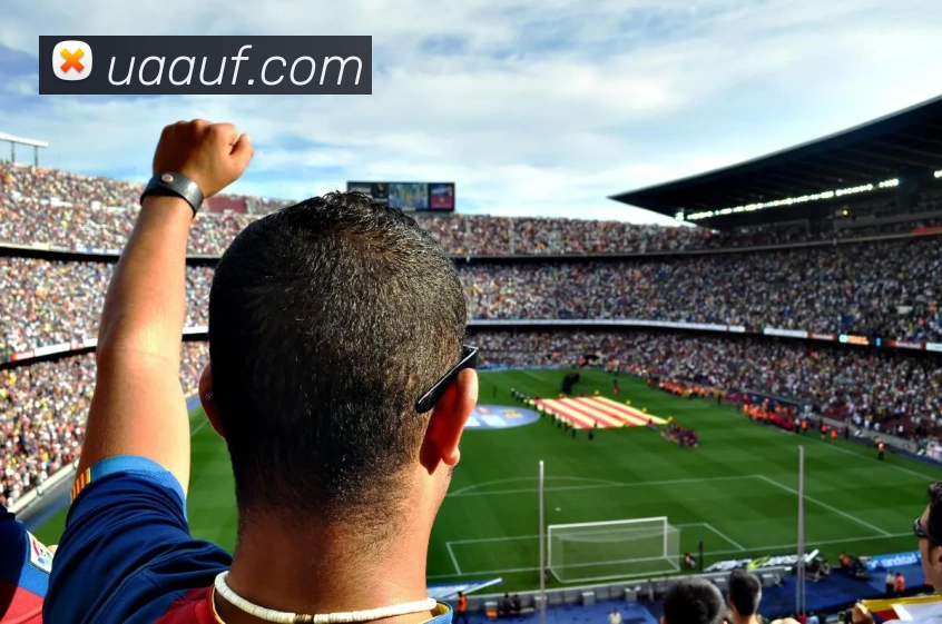 华体会手机网页版全站App